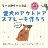 愛犬のアウトドアスプレーを作ろう！