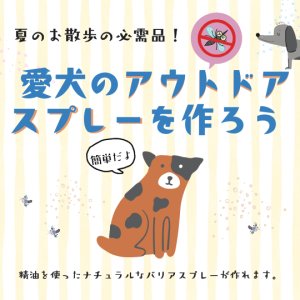 画像1: 愛犬のアウトドアスプレーを作ろう！
