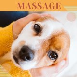 ハーブボールコース