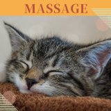 動物温灸お試しコース